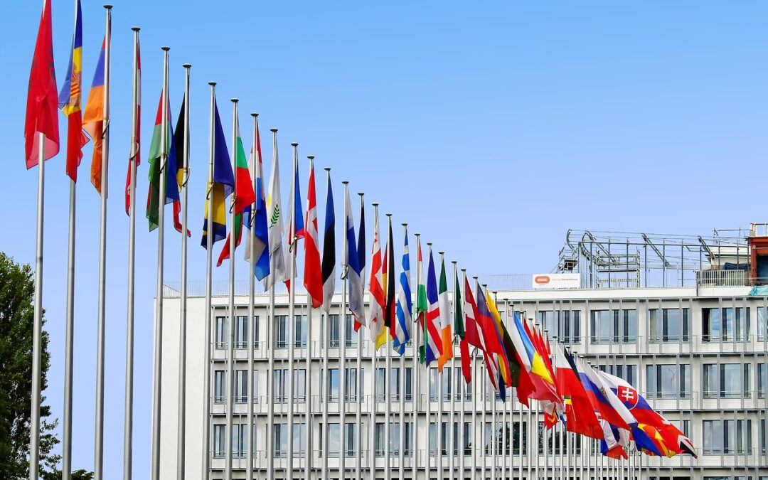 Taken van de Centrale autoriteit Internationale Kinderaangelegenheden volgens de nieuwe Europese Verordening Brussel II-ter